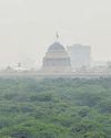 Delhi has most forest area among India's mega cities