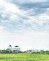 Boost for farm sector in year's first Cabinet meet