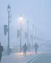 Streets shrouded in fog on cold day in Delhi; flight, train ops hit