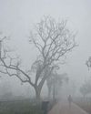 Dense fog envelops Delhi, air quality nears 'severe'