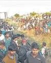 Panic on the tracks: 12 die in freak Jalgaon train tragedy4