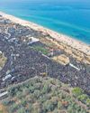 Militant groups slam Trump on plan to "clean out" Gaza Militant groups slam Trump on plan to "clean out" Gaza38