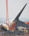 Jeju Air Plane Crash in South Korea: Duck Remains Found in Both Engines