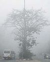 Dense fog shrouds Delhi