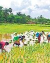 Govt plans to augment farm productivity in 100 districts