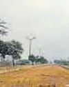 Pvt firms may help revive MP's degraded forests