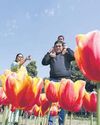 Delhi logs year's hottest day yet; air quality dips