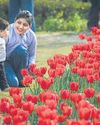 100,000 bulbs up for sale to the public as tulip festival returns to the Capital