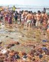 NGT asks UP body to submit detailed Kumbh water report