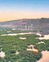PM Welcomes India's 58th Tiger Reserve in MP PM Welcomes India's 58th Tiger Reserve in MP