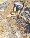 After Maharani Bagh, Kalindi Colony Hit by Contamination After Maharani Bagh, Kalindi Colony Hit by Contamination