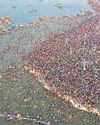 Ganga water was fit for bathing during Kumbh Ganga water was fit for bathing during Kumbh