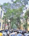MCD Finalises Plan for Museum at Town Hall MCD Finalises Plan for Museum at Town Hall