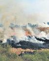 Crop shift to alleviate stubble fires: CAQM15