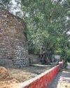 MCD Proposes Night Food Street at Salimgarh Fort, Invites Applications12