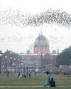 498 Flights Delayed, Over 40 Diverted in Storm Aftermath 498 Flights Delayed, Over 40 Diverted in Storm Aftermath