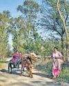 Women's role in labour force on the rise: Report Women's role in labour force on the rise: Report