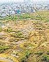 SC slams Hyd tree felling, seeks a restoration plan SC slams Hyd tree felling, seeks a restoration plan
