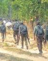 Top leader among 8 Maoists gunned down in Jharkhand Top leader among 8 Maoists gunned down in Jharkhand