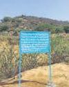 Seizures bring hope for biodiverse Aravallis plots Seizures bring hope for biodiverse Aravallis plots