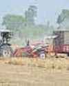 BSF tells farmers to finish harvesting, clear fields in 2 days BSF tells farmers to finish harvesting, clear fields in 2 days