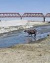 Climate crisis exposes flaws as some rivers may dry up quicker4
