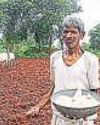 India May Import More Fertiliser From US To Narrow Trade Gap101