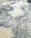 CRRI Suggests Fixes for 60 NDMC Roads CRRI Suggests Fixes for 60 NDMC Roads