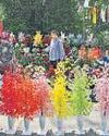 Sounds of Pak shelling fall silent as J&K limps back to normalcy Sounds of Pak shelling fall silent as J&K limps back to normalcy