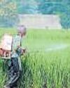 Early monsoon to up fertiliser demand; govt may hike subsidy51