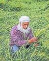 Soon, farmers will be able to test soil in seconds60