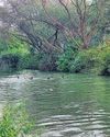 Four Drown in Munak Canal, Search Ops On Four Drown in Munak Canal, Search Ops On17