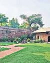 Forest to photo-op: How Delhi's scant wilderness is being tamed for leisure19