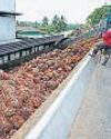 India Cuts Import Tax on Crude Edible Oils to Help Reduce Food Price95