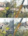 Toll Rises As More Bodies Found; First DNA Matches Completed7