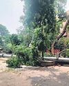 2 Teenagers Killed After Brief But Intense Storms Hit Delhi5
