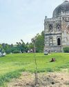 In Lodhi Garden, a fragile renewal19