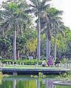 NDMC to begin drive to clean Nehru Park lake32