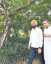 Clean air zones to help in winter11