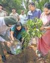 'Working to change Delhi from a gas chamber to green Capital'15