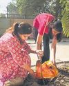 PLANT. POST. REPEAT: DELHI-NCR TURNS TREE PLANTING INTO A RITUAL111
