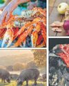 Hot plate: The climate crisis is changing how food tastes54