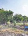 Leopard attack, images, and sightings: Anxious villagers seek forest dept help14