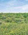 Centre forms environment auditing framework35