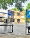 3 camels used by liquor smuggling ring housed in Delhi govt's shelter16