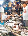B'desh deploys warships, aircraft to guard hilsa from illegal fishing1