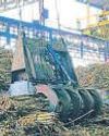 Sugarcane farmers may get a sweet deal Sugarcane farmers may get a sweet deal58