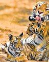 Hindustan Times
