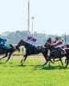 K’taka to introduce bill permitting online bets on horse races K’taka to introduce bill permitting online bets on horse races63