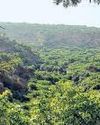Apex court's stay on Aravallis order hailed across party lines42